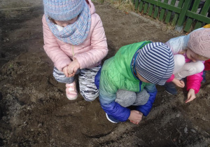 Dzieci sieją nasiona.